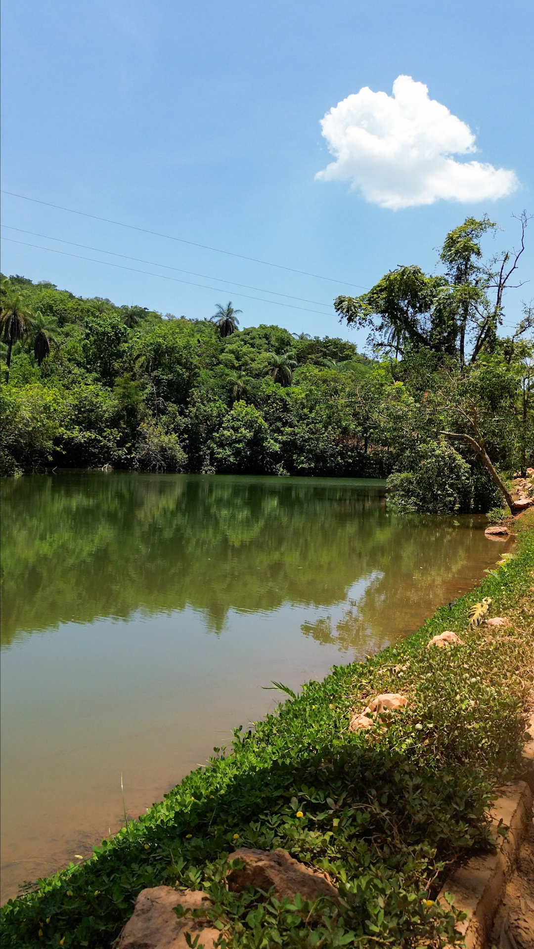 Panorâmica do lago e da vegetação nativa