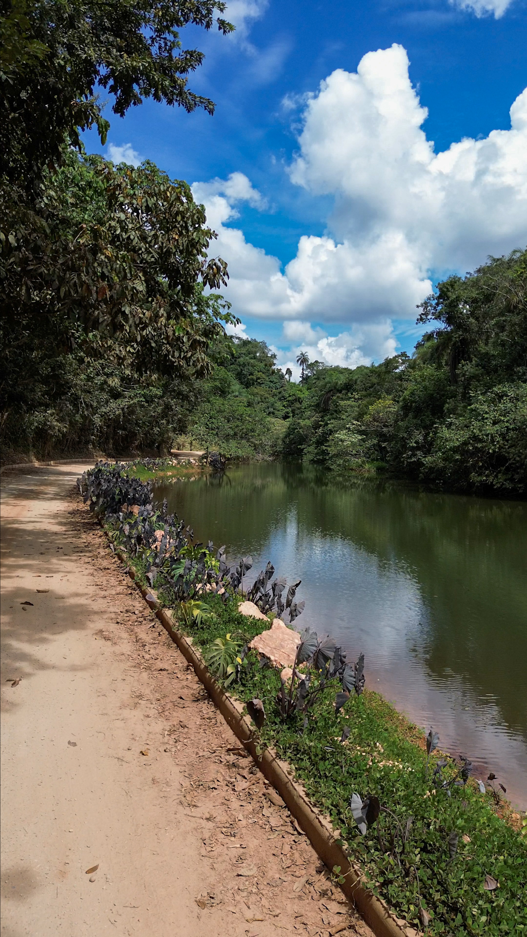Trilha à margem do lago com paisagismo nativo