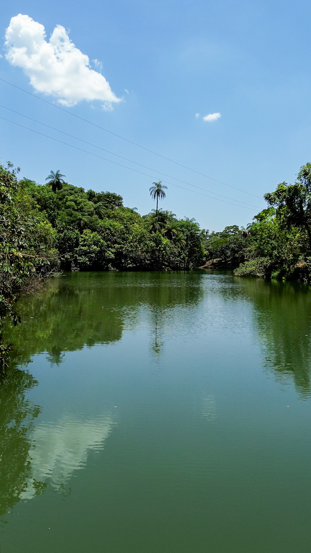 Lago do Terras Verdes cercado pela mata